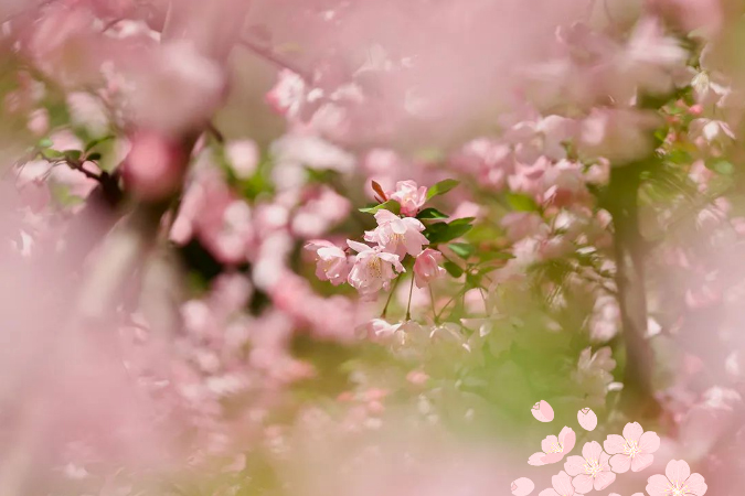 做有心青年 大聲說出愛